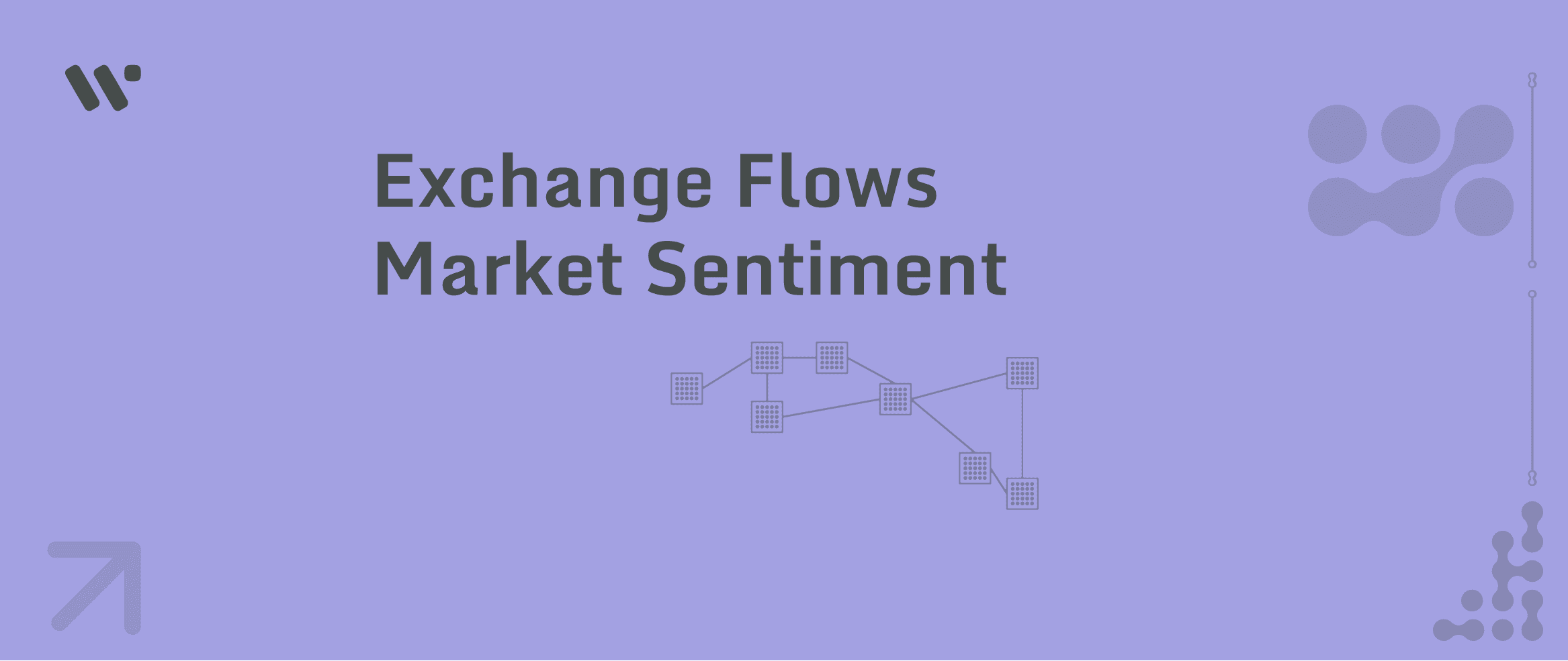 Exchange Flow Metrics Analysis