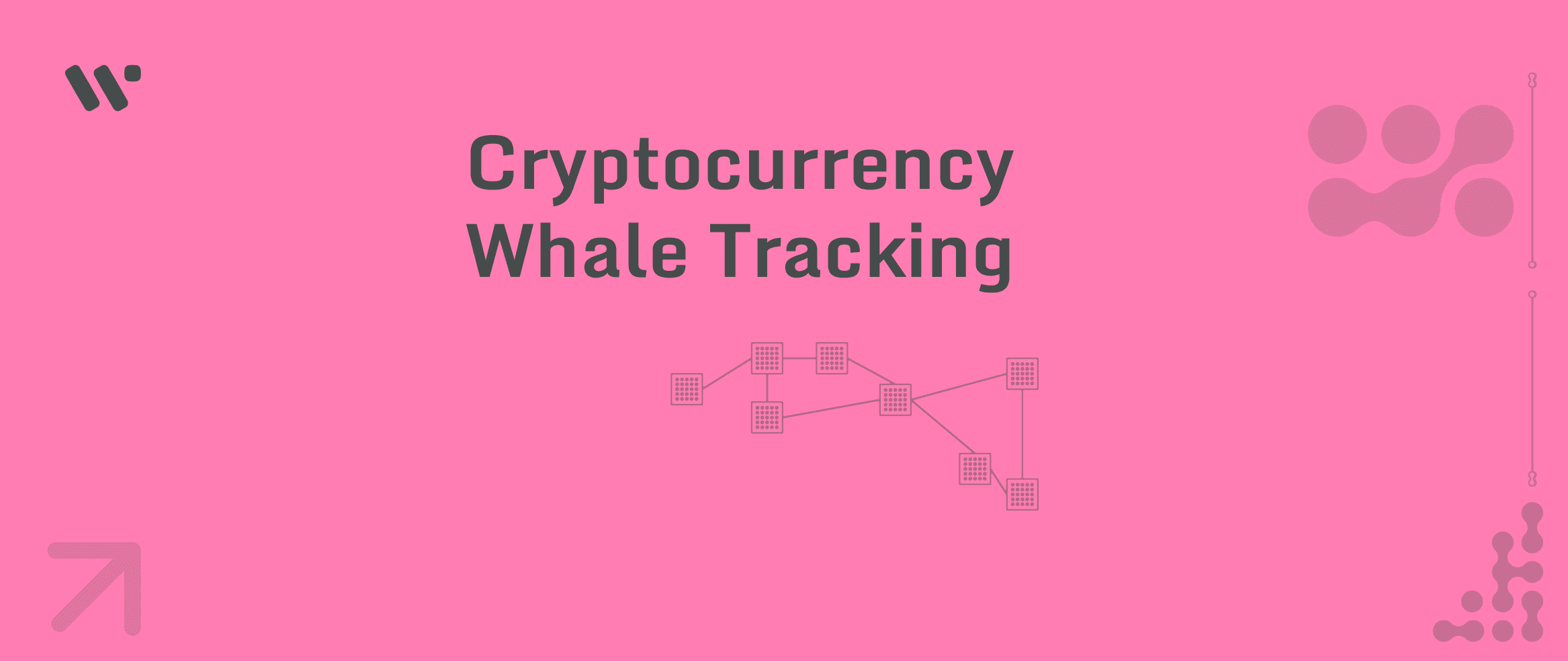 Crypto Whale Trackers - Unveiling the Movements of Cryptocurrency Giants